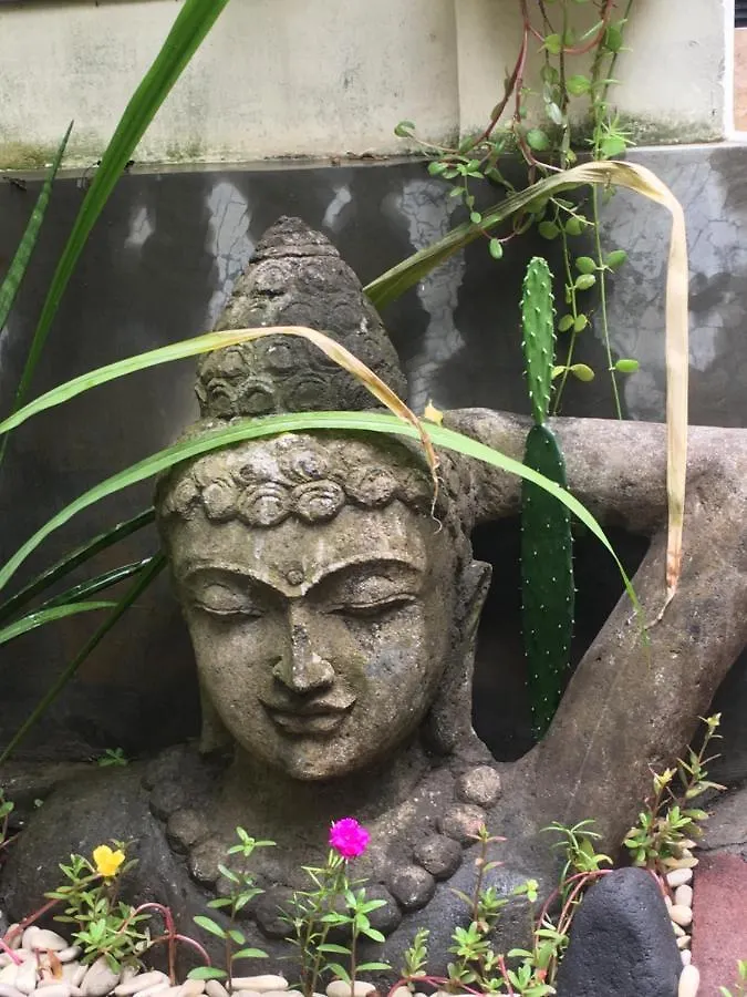 Nadialit Apartment Seminyak  Homestay